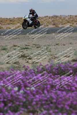 media/Jan-14-2023-SoCal Trackdays (Sat) [[497694156f]]/Turn 14 Exit Bloomig (145pm)/